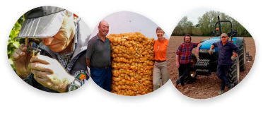Serie de tres fotos que muestran a nuestros agricultores amigos trabajando en sus campos: uno cuidando cultivos, otros con su producción de patatas y un tercero con su tractor.